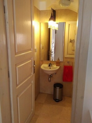 Shower, hair dryer, bidet, towels