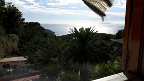 Vista da janela com paisagem costeira, palmeiras e um edifício ao longe.