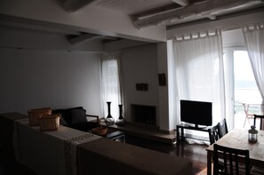 Télévision, cheminée, lecteur de DVD, livres