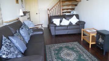 TV, DVD player, books, music library