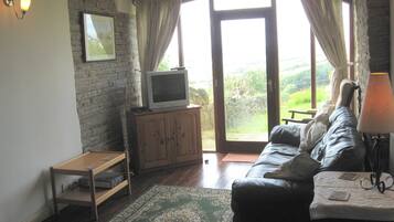 TV, DVD player, books, music library