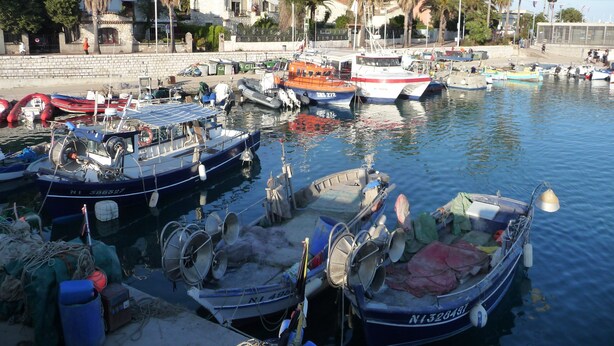 Un puerto deportivo con varias embarcaciones amarradas, una playa de arena y edificios al fondo.
