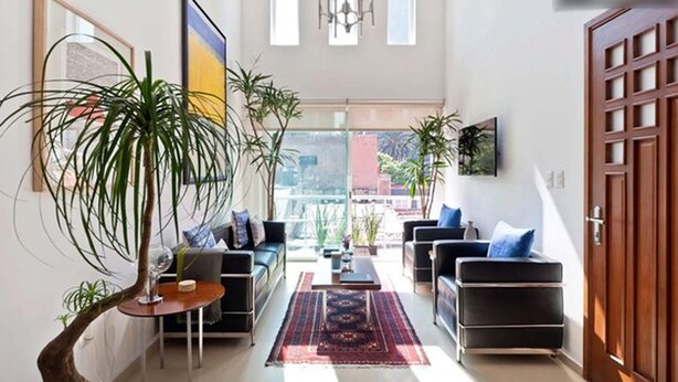 Un salon spacieux avec une grande fenêtre, un ensemble de canapés noirs, une table basse et une plante en pot.