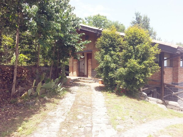 Simple, residence with a brick exterior and lush surroundings.