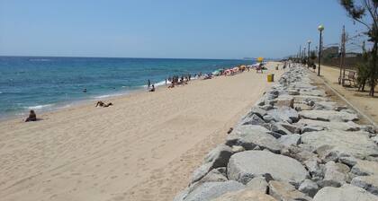 Great apartment on the beach, very close to Barcelona. First sea line