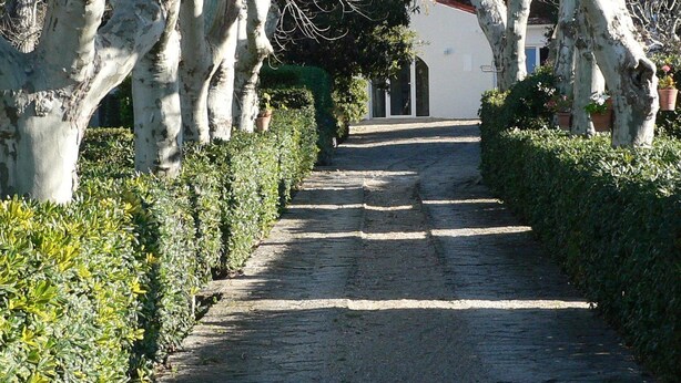 Un sendero adoquinado bordeado por árboles esculpidos y setos podados, que conduce a un edificio blanco con techo oscuro.