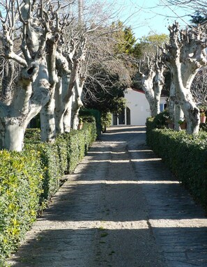 Un sendero adoquinado bordeado por árboles esculpidos y setos podados, que conduce a un edificio blanco con techo oscuro.