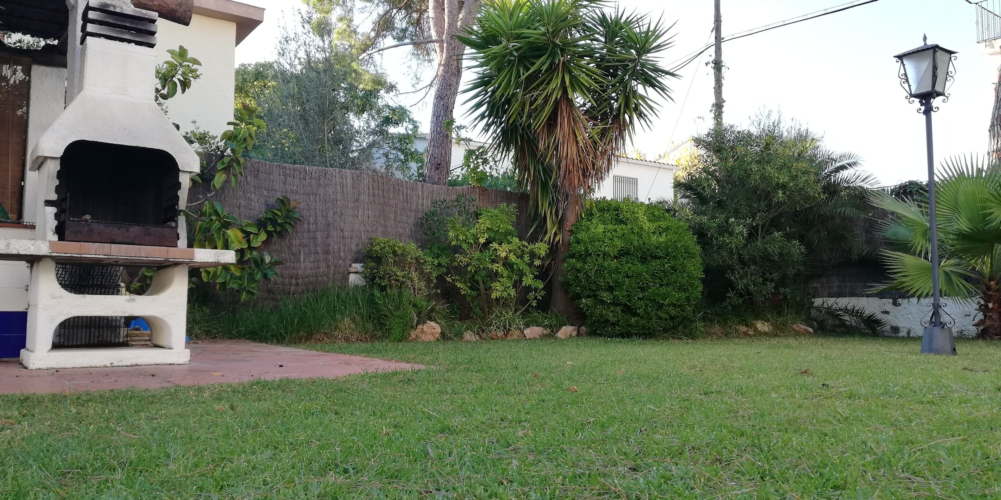 A backyard with a barbecue grill, a stone wall, and various plants.