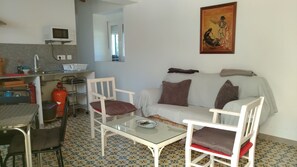 TV, fireplace, books