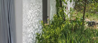 Cozy Andalusian Country House La Umbria de la Ribera House Patio