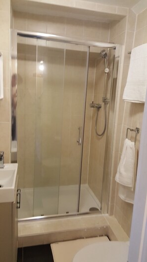 Shower, hair dryer, towels