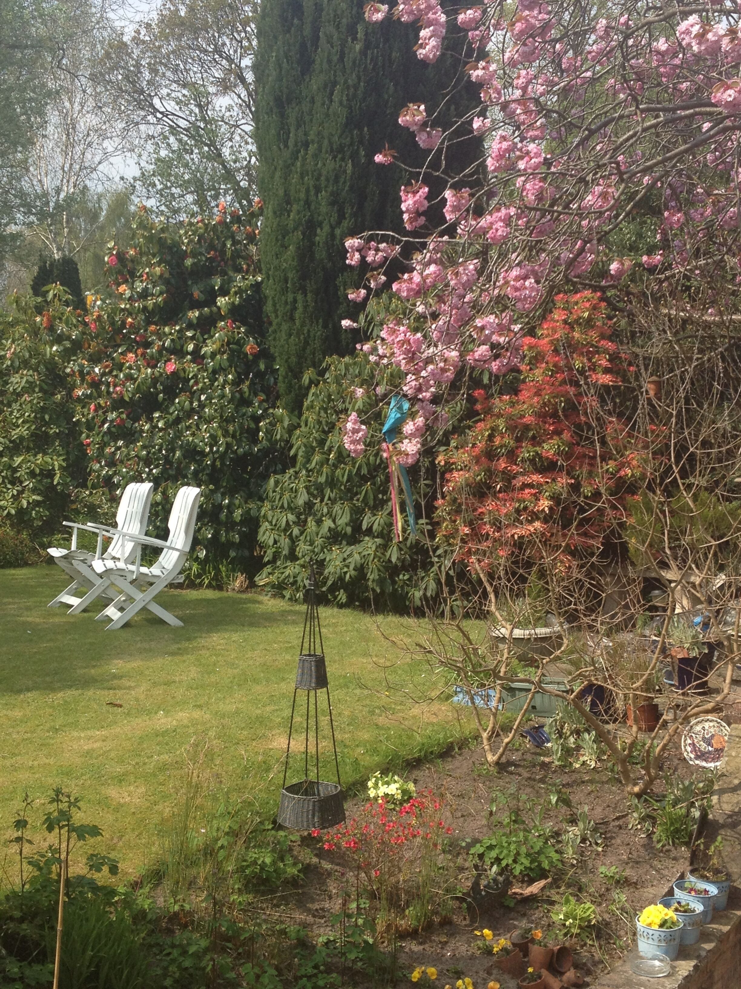 Un giardino con prato, sedie bianche, un cesto pensile e diverse piante.