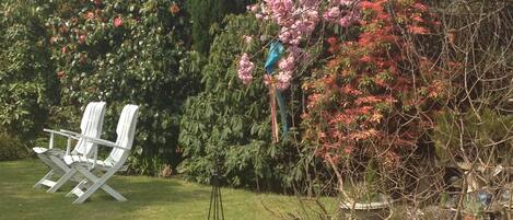 Un jardín con césped, sillas blancas, una cesta colgante y diversas plantas.