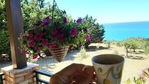 Eine Hand hält eine Tasse, ein hängender Blumenkorb und Blick aufs Meer.