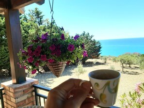 Property grounds - Villa il Carrubo 100 meters from a unique and unspoiled sea (licata)