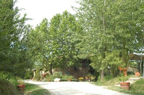Àrea exterior de l'allotjament