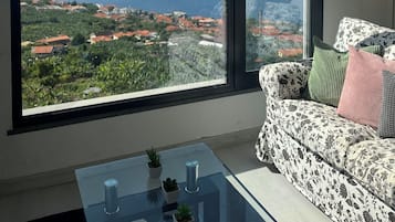 智能電視、DVD 播放機、足球機、書籍