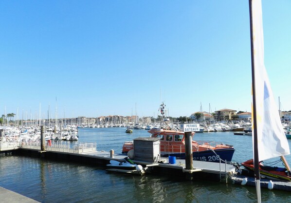 A marina with multiple boats docked, a pier, and a clear blue sky. - Gîte with pool, grounds, air-conditioning for peaceful family holidays in Landes (Sainte-Colombe)