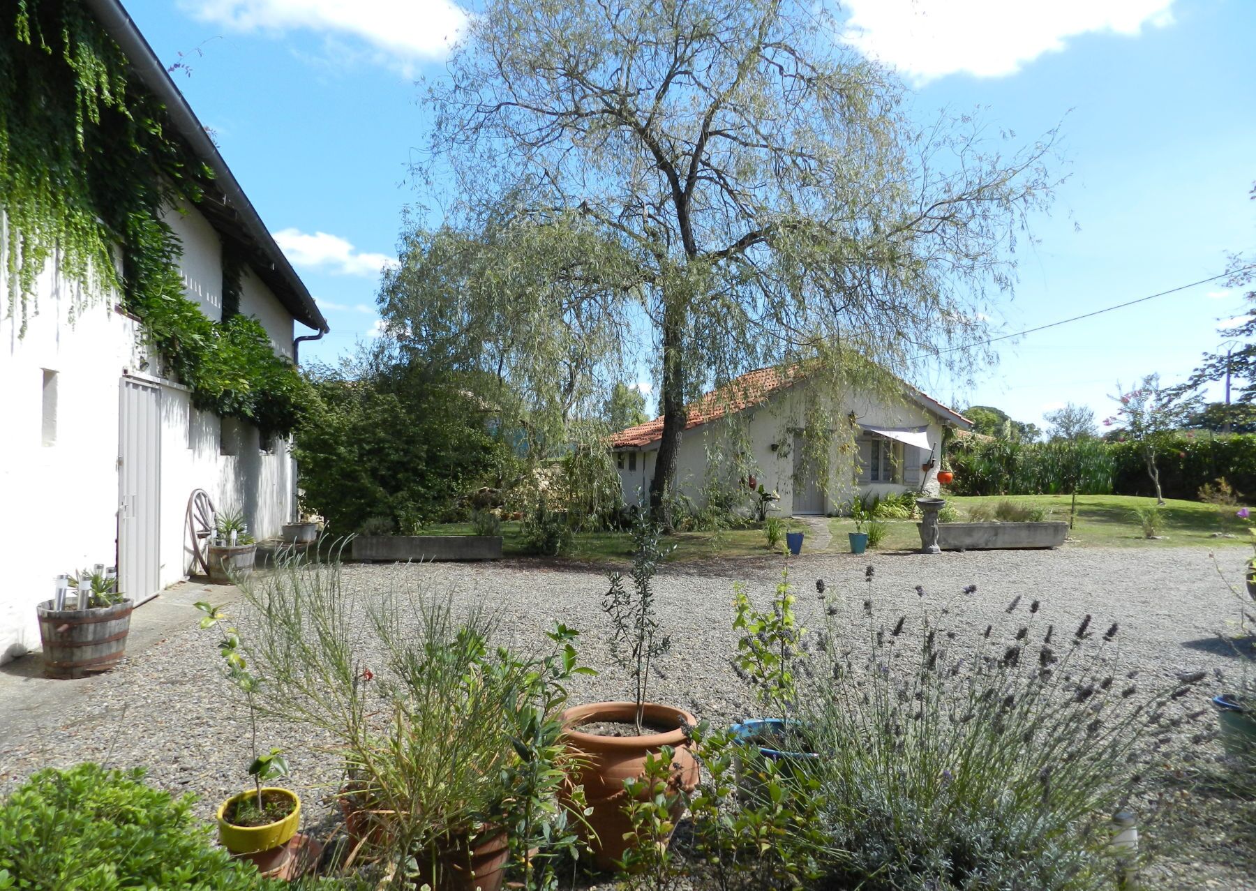 Ein Innenhof mit Kiesweg, Kübelpflanzen und einem weißen Gebäude mit roter Ziegeldach.