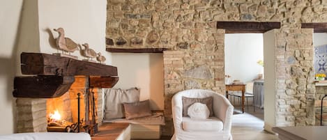 TV, fireplace, books