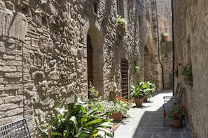 Un estrecho callejón de piedra con plantas en macetas y bancos.