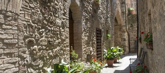 The House of Alice, charm and relaxation