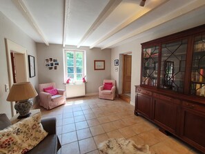 Televisor, llar de foc, videojocs i reproductor de DVD