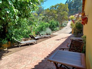 Un patio con suelo de piedra, mobiliario exterior y abundante vegetación.