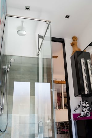 Rainfall showerhead, hair dryer, towels, soap