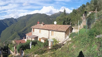 Ulkopuoli