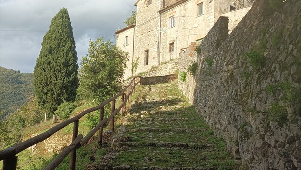 A stone building with a staircase leading up to it, surrounded by greenery and a wooden fence.