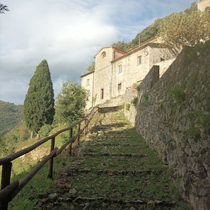 Property grounds - A terrace on the sea (Camaiore)
