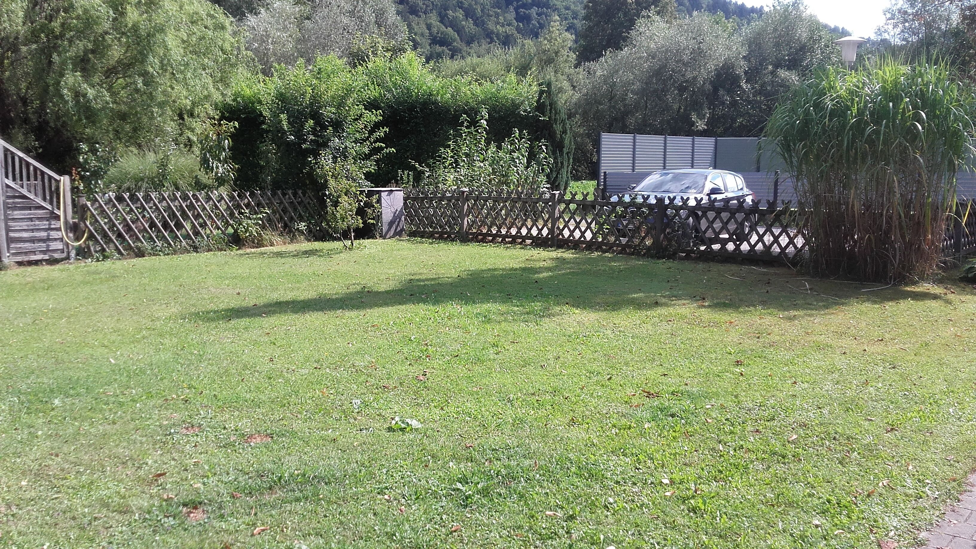 A grassy yard with a wooden fence, a small tree, and a parked car.