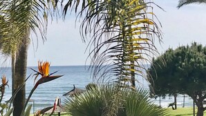 Un jardín tropical con palmeras y flores de ave del paraíso, con vista a una masa de agua.