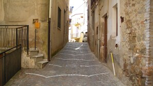A narrow cobblestone street flanked by old buildings with visible wear and tear.