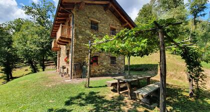 CHALET LA CASTAÑA