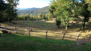 Un espace extérieur clos, agrémenté d’arbres et offrant une vue sur des collines lointaines.