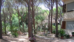 Une cour bordée d’arbres imposants, agrémentée de plantes en pot et traversée d’un chemin de gravier.
