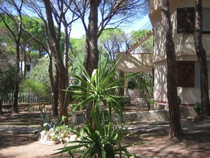 Property grounds - Villa 50 meters from the sea in Santa Margherita di Pula (Cagliari) (Santa Margherita di Pula)