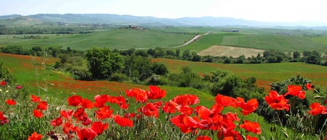 Terrain de l’hébergement 