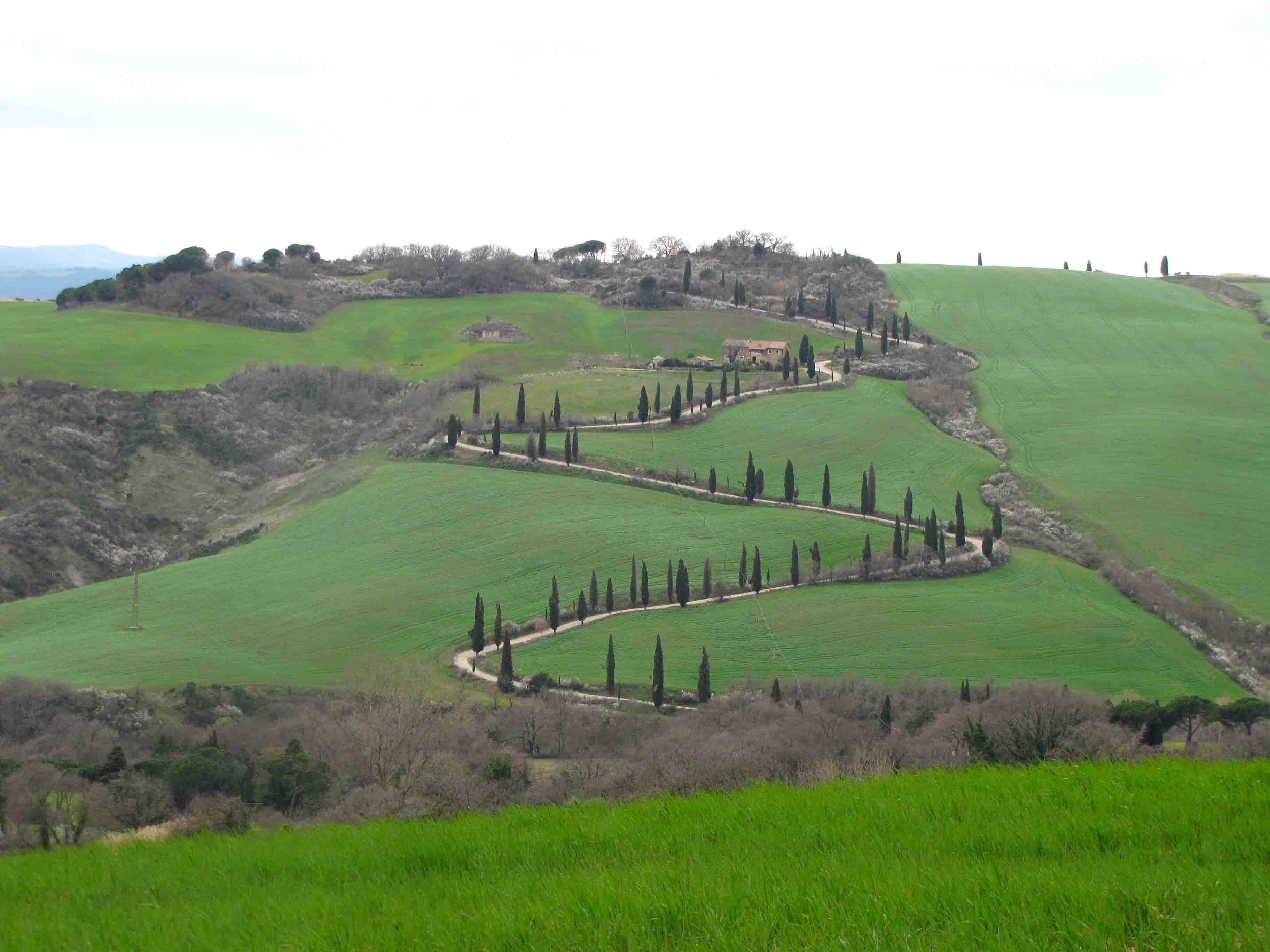 Un paysage rural caractérisé par de vastes champs verdoyants, un sentier sinueux et des arbres dispersés.