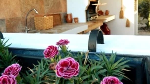 Un mur en pierre, un coin cuisine avec un poêle et un jardinier avec des fleurs.