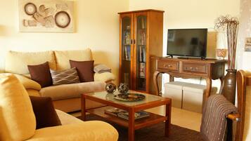 TV, fireplace, books