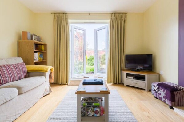 TV, fireplace, video games, DVD player