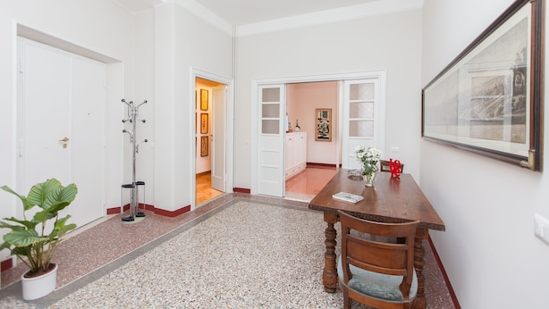Un couloir avec une table à manger en bois, des chaises, une plante en pot et un porte-manteau.
