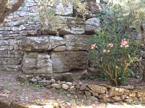Property grounds - Ada Holiday House in Fiesole (Fiesole)