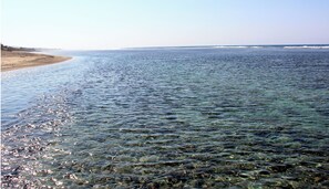 A clear view of a beach with calm waters and a distant shoreline.