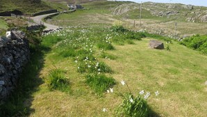 A rural landscape with a stone wall, a winding road, and a grassy field with white flowers.