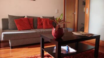 Una televisión, un reproductor de DVD, una videoteca, una impresora