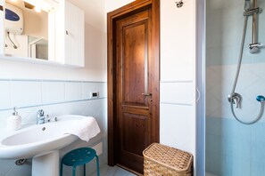 Shower, hair dryer, bidet, towels